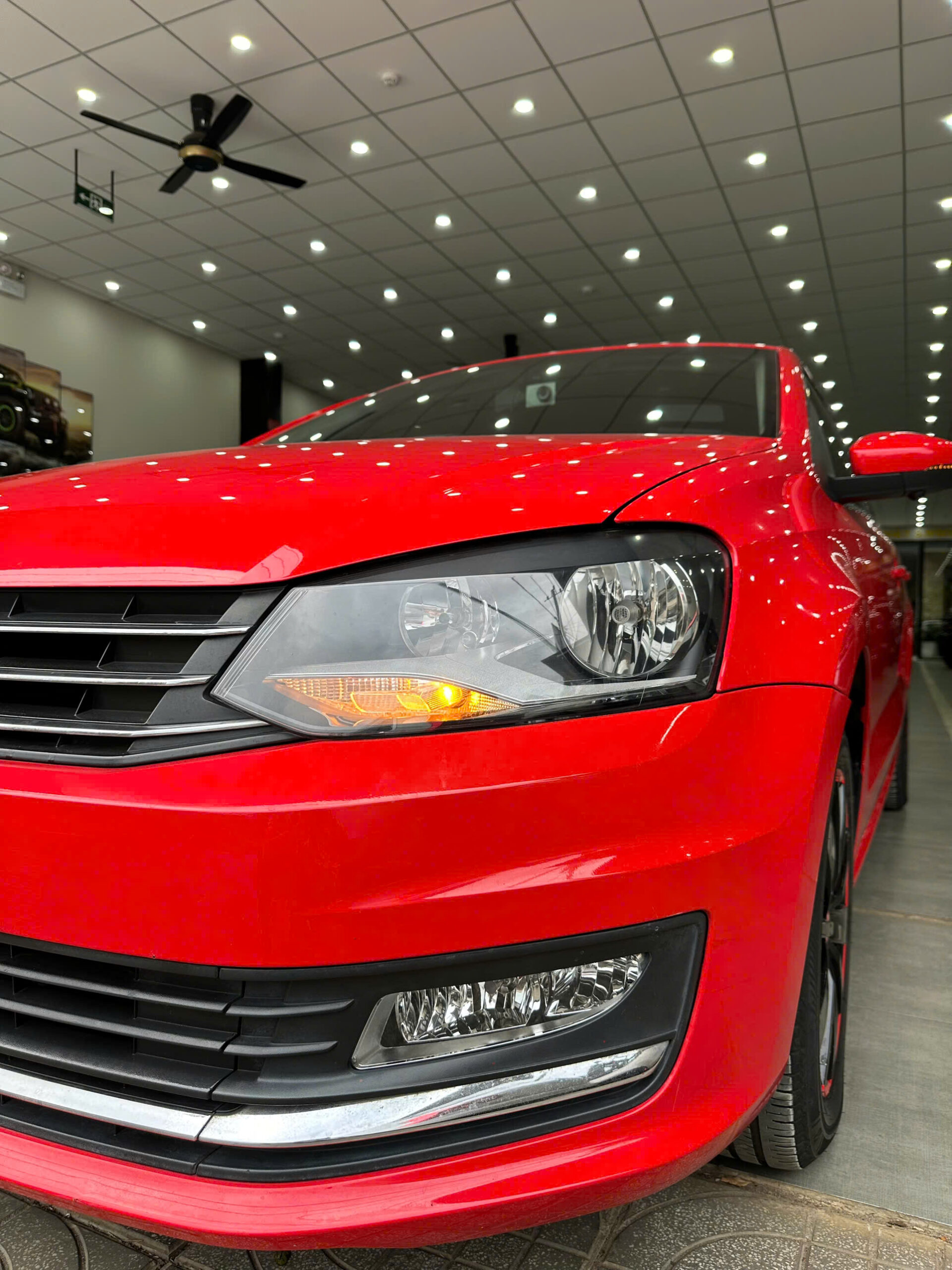 VOLKSPOLO 2015 (1)