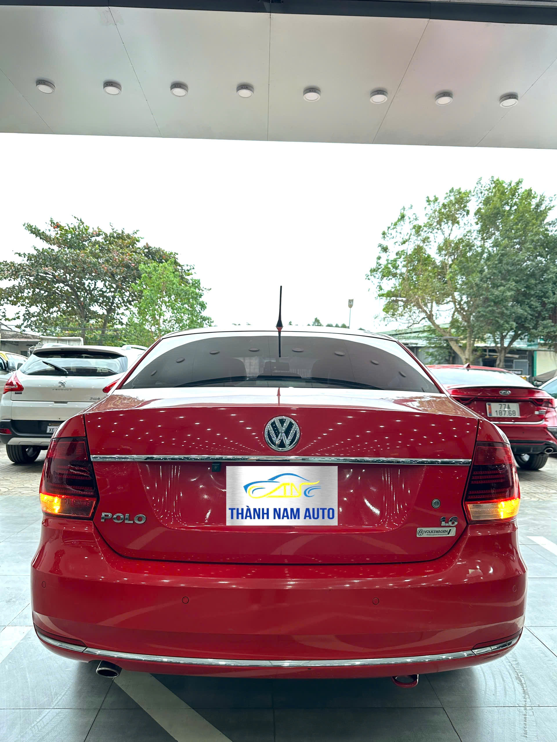 VOLKSPOLO 2015 (7)