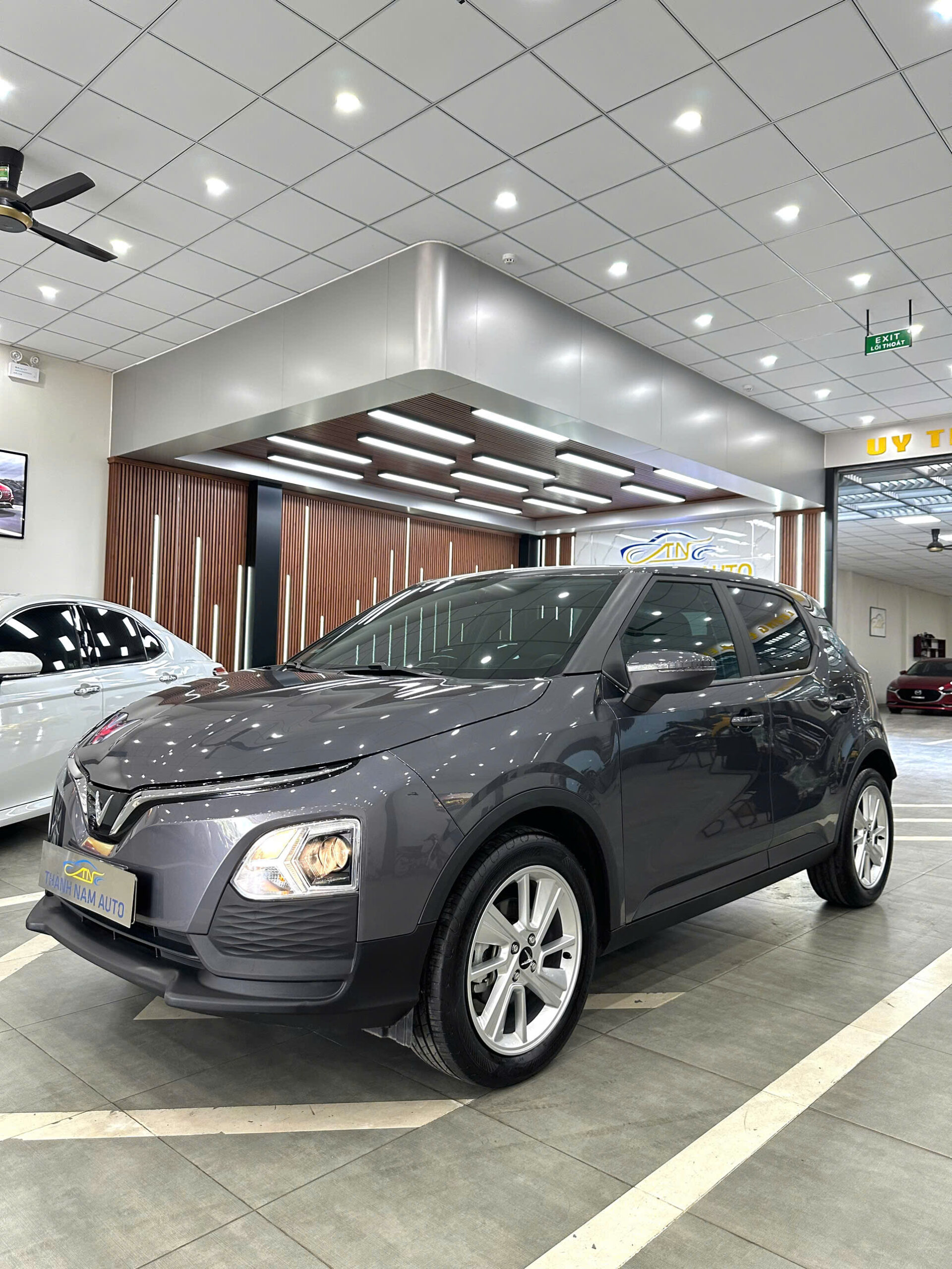 VINFAST VF5 PLUS 2025 (2)