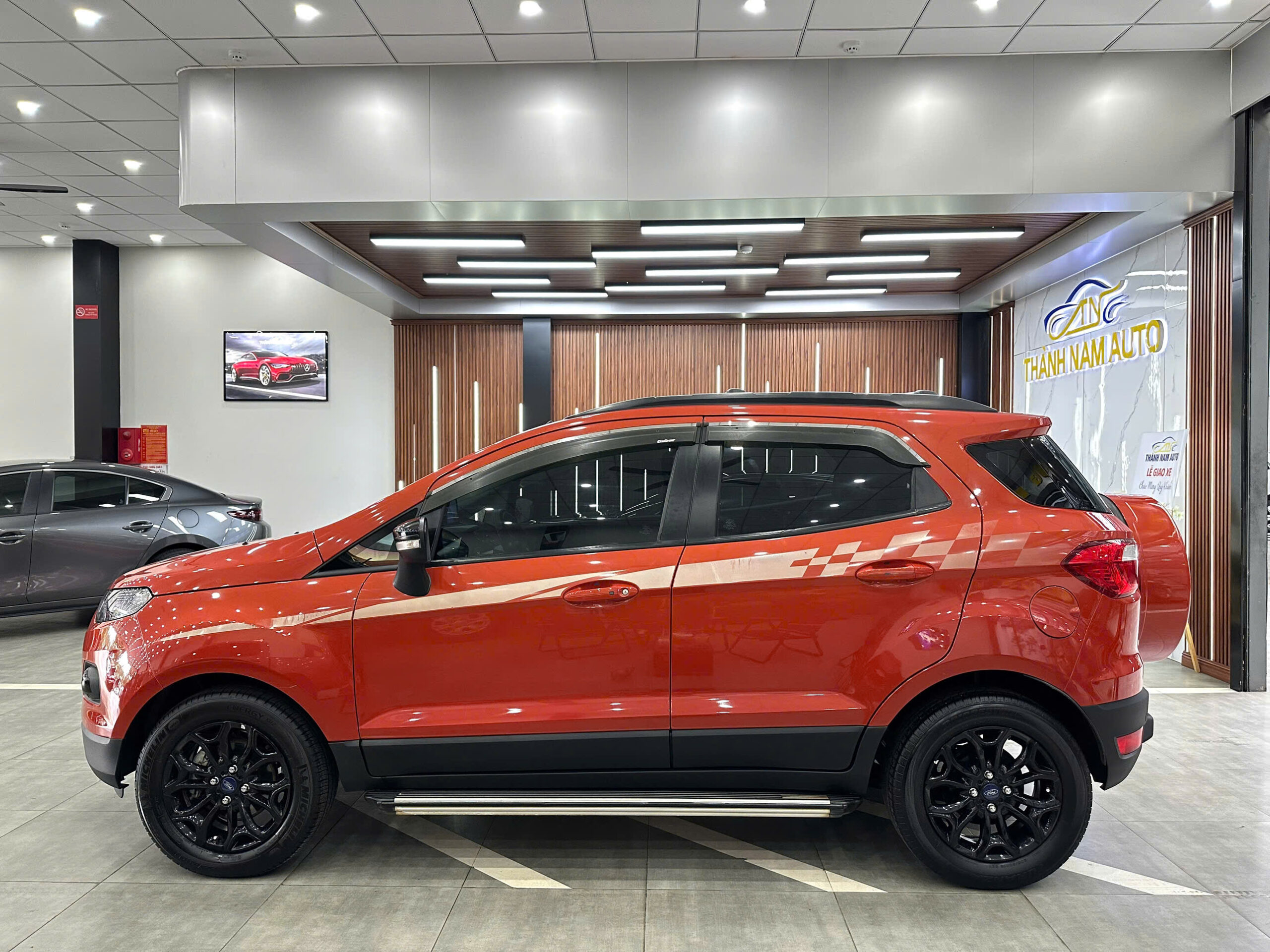 FORD ECOSPORT 2017 TITAN CAM (3)