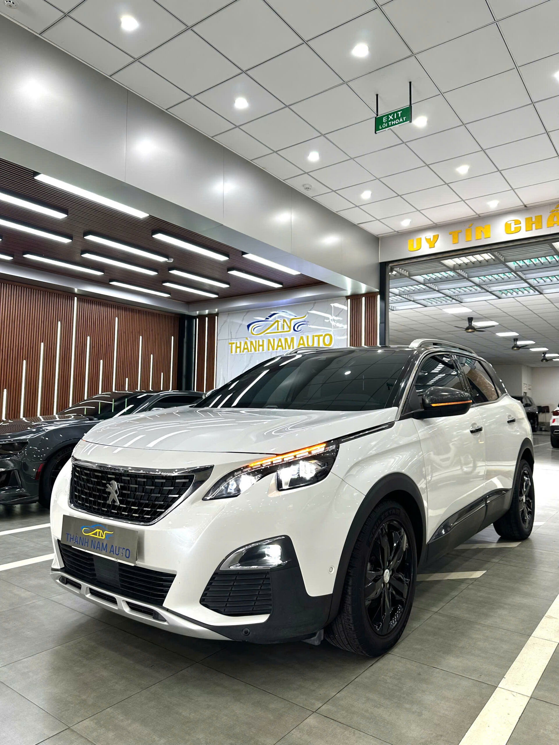 PEUGEOT 3008 AL 2019 (2)
