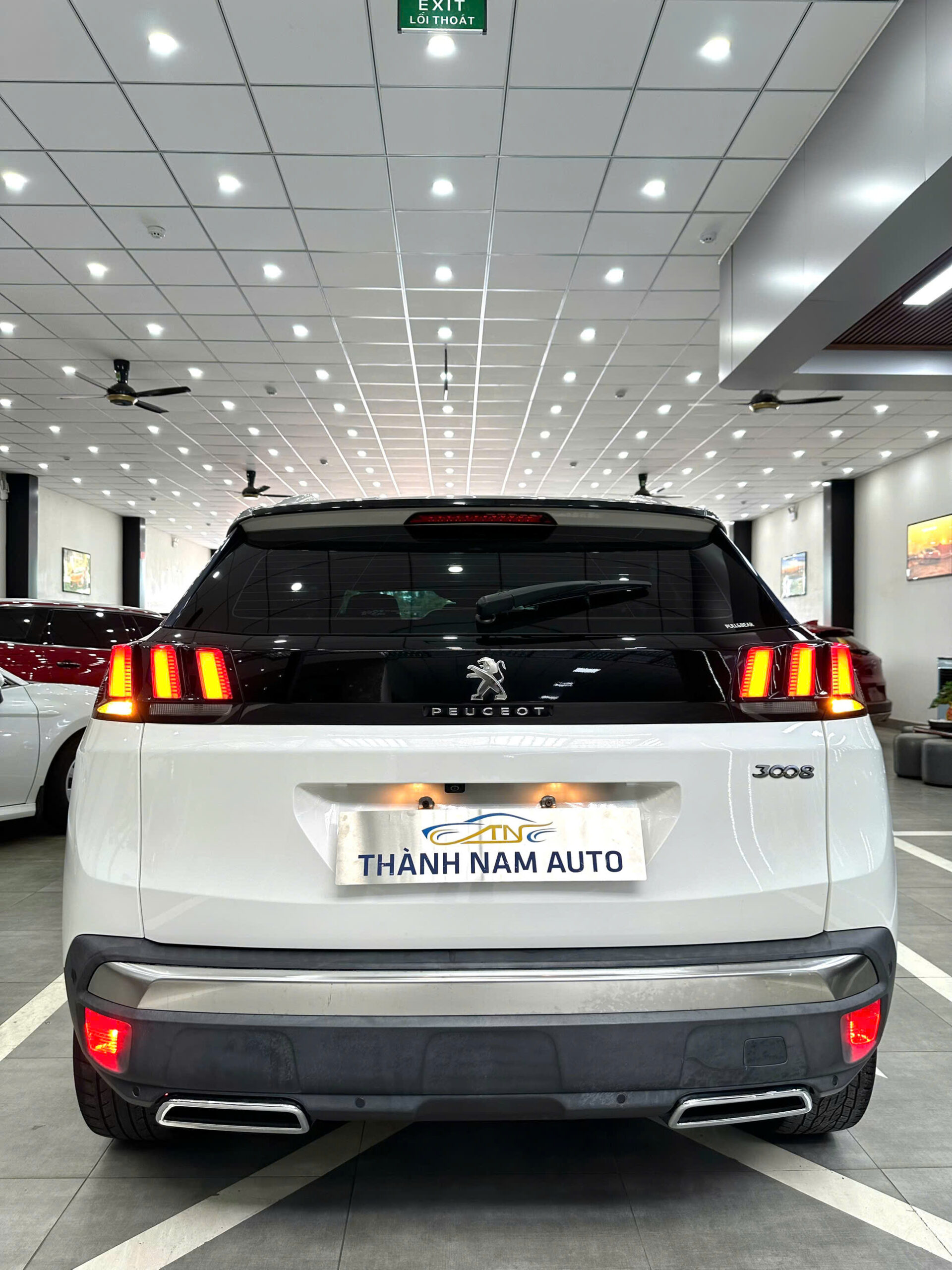 PEUGEOT 3008 AL 2019 (4)